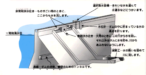 イラスト：ダムの断面構造