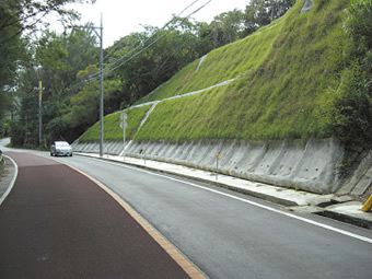 写真：道路保全施工後の風景