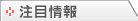 注目情報