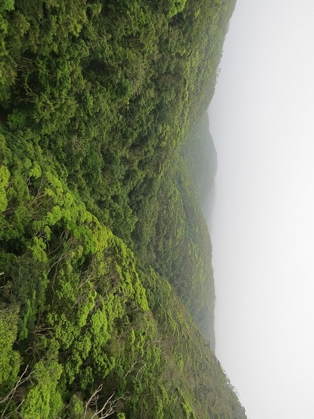 写真:森
