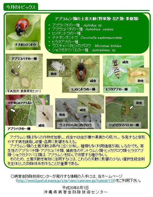 写真:アブラムシ類の土着天敵 (野菜類・花き類・果樹類)