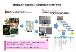 イラスト：健康食品素材よ代表的成分の活性評価と加工に関する研究