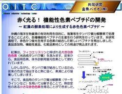 イラスト：赤く光る！機能性色素ペプチドの開発