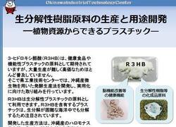 イラスト：生分解性樹脂原料の生産と用途開発