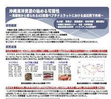 イラスト：沖縄海洋資源の秘める可能性