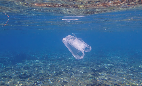 写真：海中レジ袋