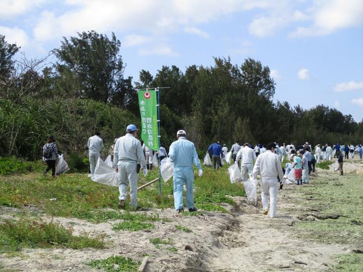 写真:海岸清掃の様子2
