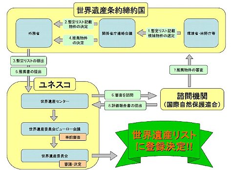 イラスト：登録するまでの流れ