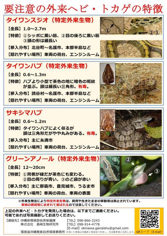 チラシ：要注意の外来ヘビ・トカゲの特徴