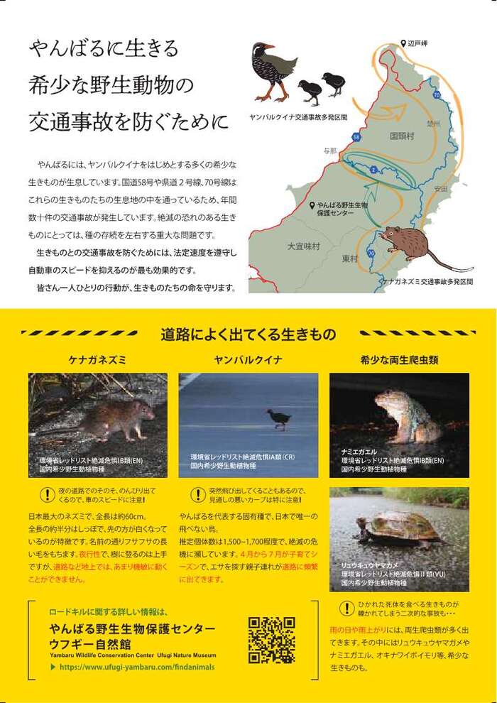 STOP！ロードキル月間裏