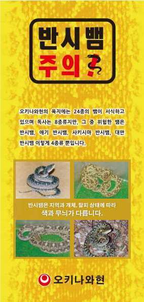 illustration：habu_kankoku_leaflet