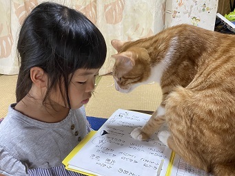 写真:第15回八重山保健所長賞
