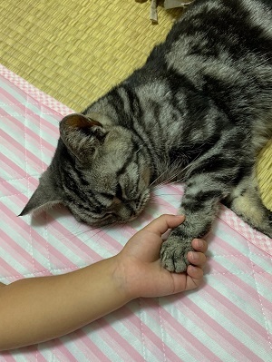 写真:第14回八重山保健所長賞