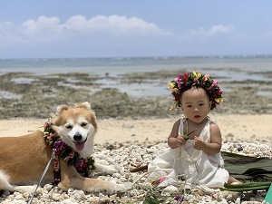 写真:第14回八重山獣医師会長賞