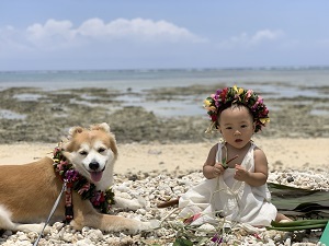 写真：第14回八重山獣医師会長賞