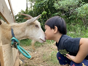 写真:第19回入選3