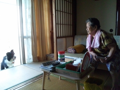 写真:第5回八重山獣医師会長賞