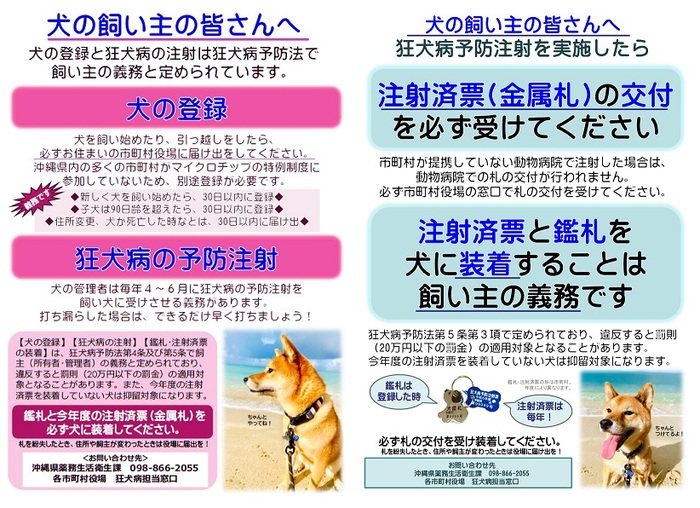 飼い主の義務