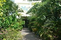 写真：ホテル花と緑の宿みずほ石垣島