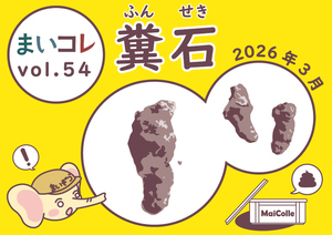 写真：糞石（2026.3.18）