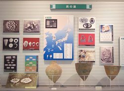 写真:常設展示室の様子2