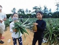 写真：交流会の様子2