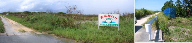 写真:波照間第1地区1