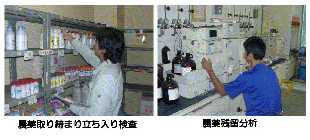 写真：農薬取り締まり立ち入り検査と農薬残留分析の様子