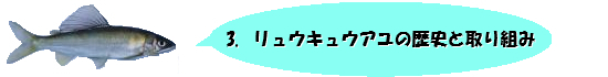 3.リュウキュウアユの歴史と取り組み