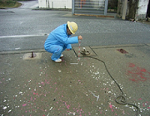 写真:調査の様子1