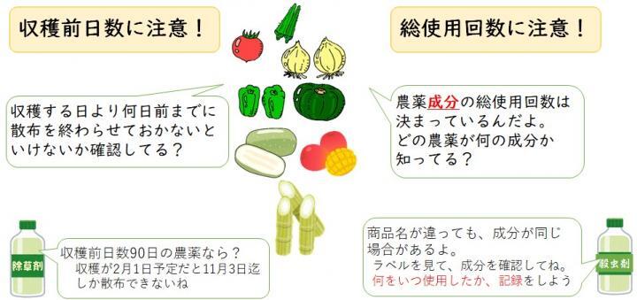 イラスト：農薬使用の時期と回数