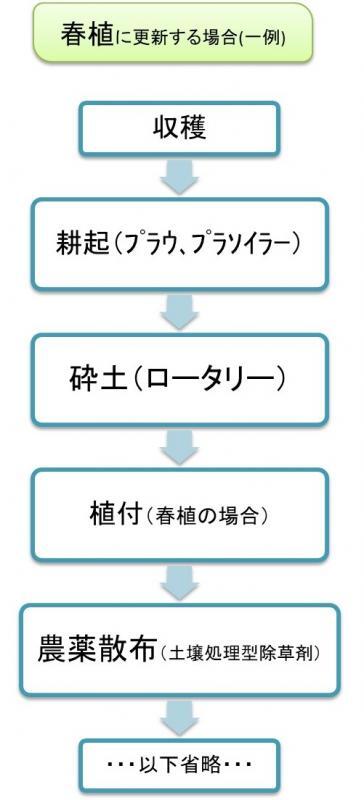 イラスト：春植、夏植に更新する場合の一例