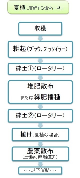 イラスト：夏植に更新する場合の作業