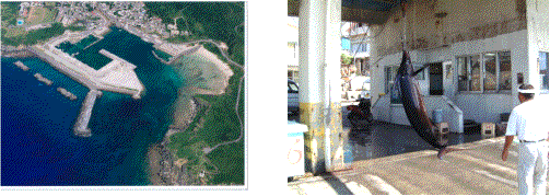 写真：久部良漁港の航空写真とカジキ釣りの様子