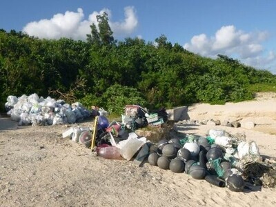 写真：海岸清掃の様子2