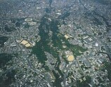 写真:浦添大公園上空
