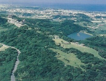 写真：公園上空