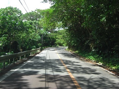 写真:新川工区