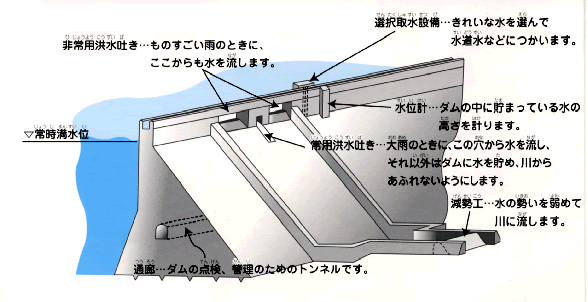 イラスト:ダムの断面構造