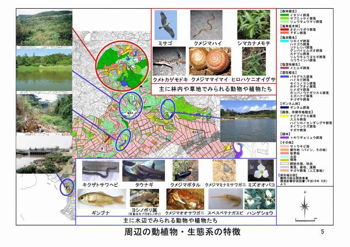 イラスト：周辺の動植物・生態系の特徴