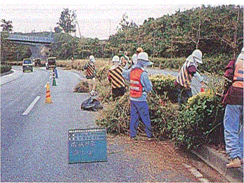 写真:植栽の剪定