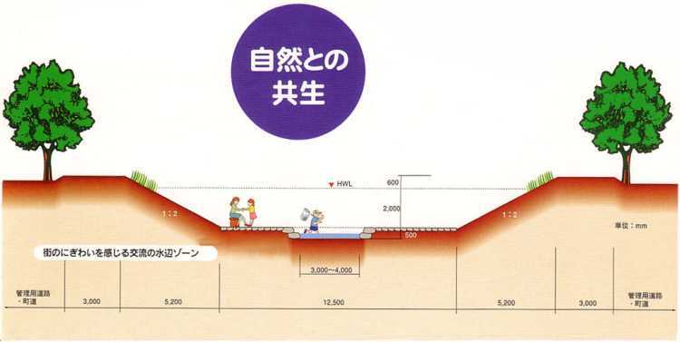 イラスト:自然との共生