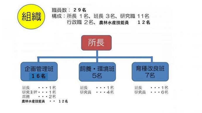 イラスト：組織図
