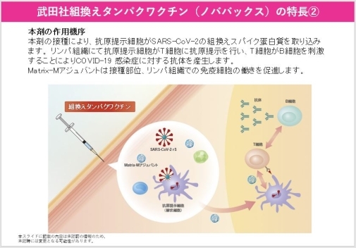 イラスト:武田社組換えタンパクワクチン(ノババックス)特長2