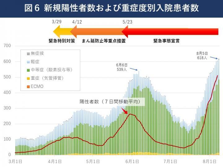 グラフ：新規陽性者数および重症度別入院患者数