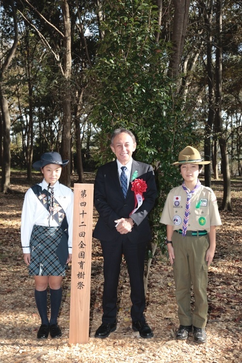 写真:育樹活動