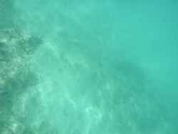 写真:海底の様子5