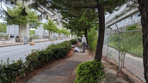 写真：活動の様子