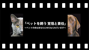 ペットを飼う覚悟と責任（環境省・動画）（外部リンク・新しいウィンドウで開きます）