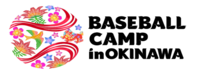 沖縄野球キャンプ